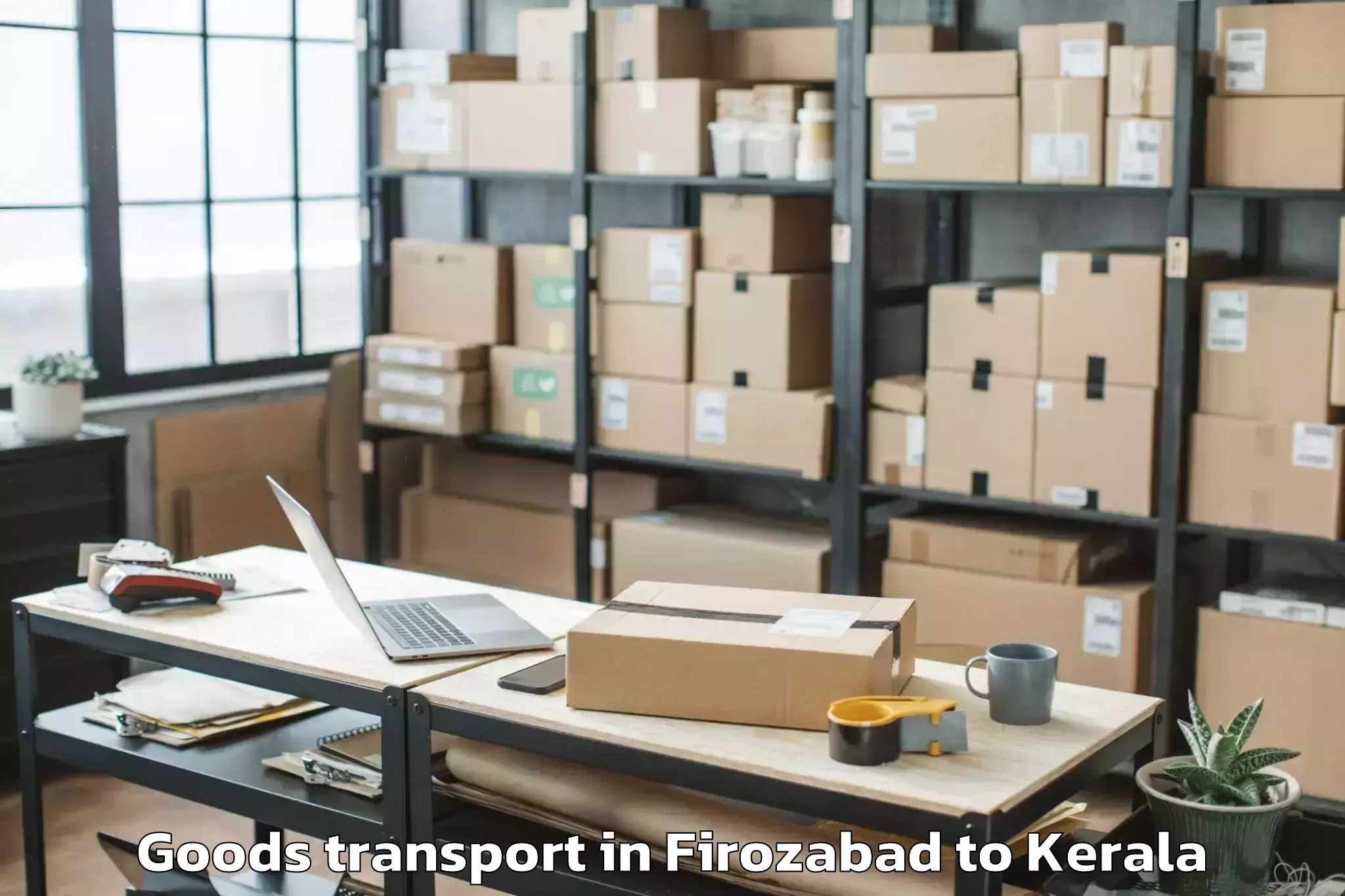 Professional Firozabad to Udumbanchola Goods Transport